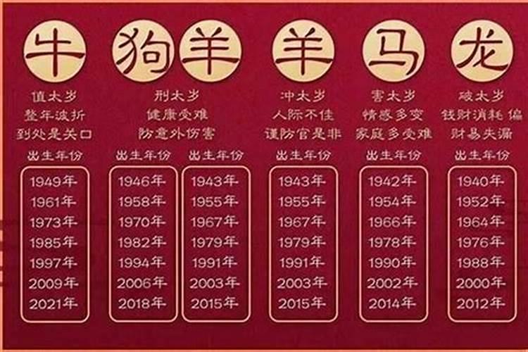 2023年属什么生肖过年？