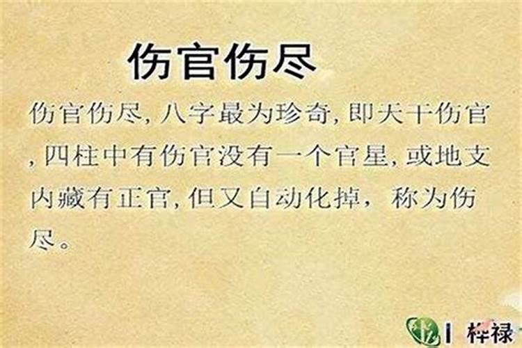 男子八字算命伤官是什么意思？