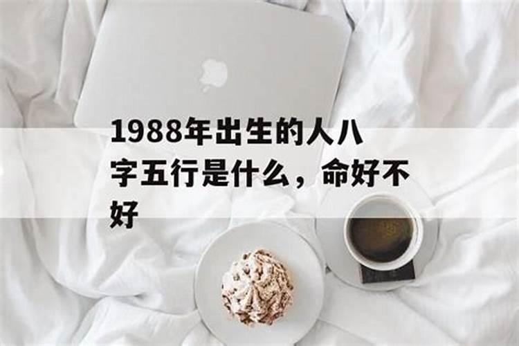 1988年出生的是什么命