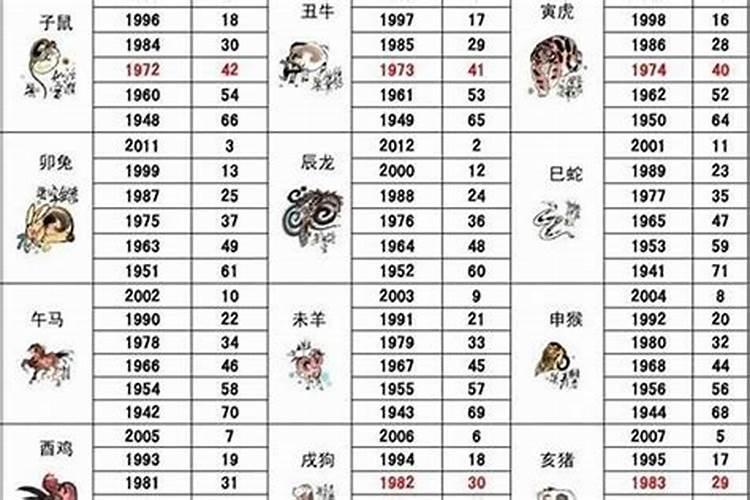 1955属相属什么生肖？