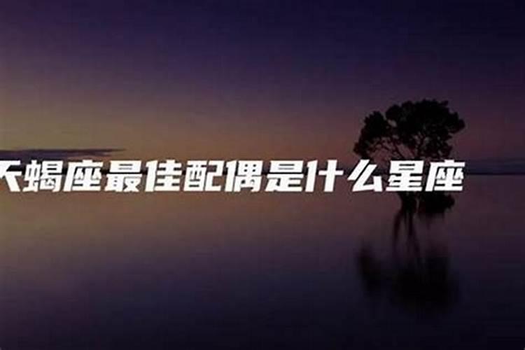 什么属相的天蝎座晚年平安顺利？