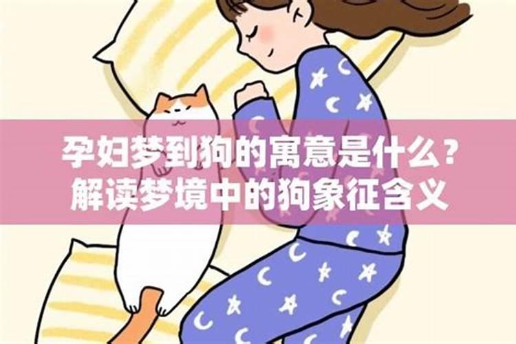 梦到大狗：解析梦境中的象征与寓意