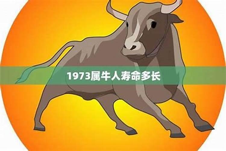 73年属牛一生运势如何？