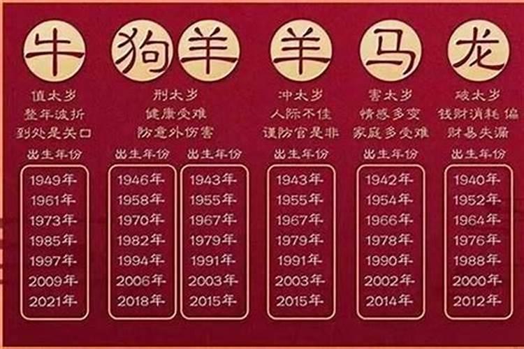 51属什么生肖今年多大了