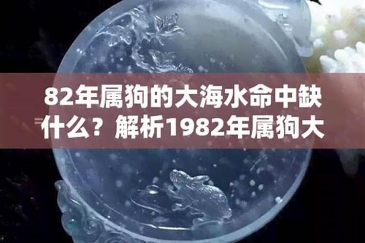 1982年属狗水命缺什么,农历1982年出生的大海水命五行里面缺什么？